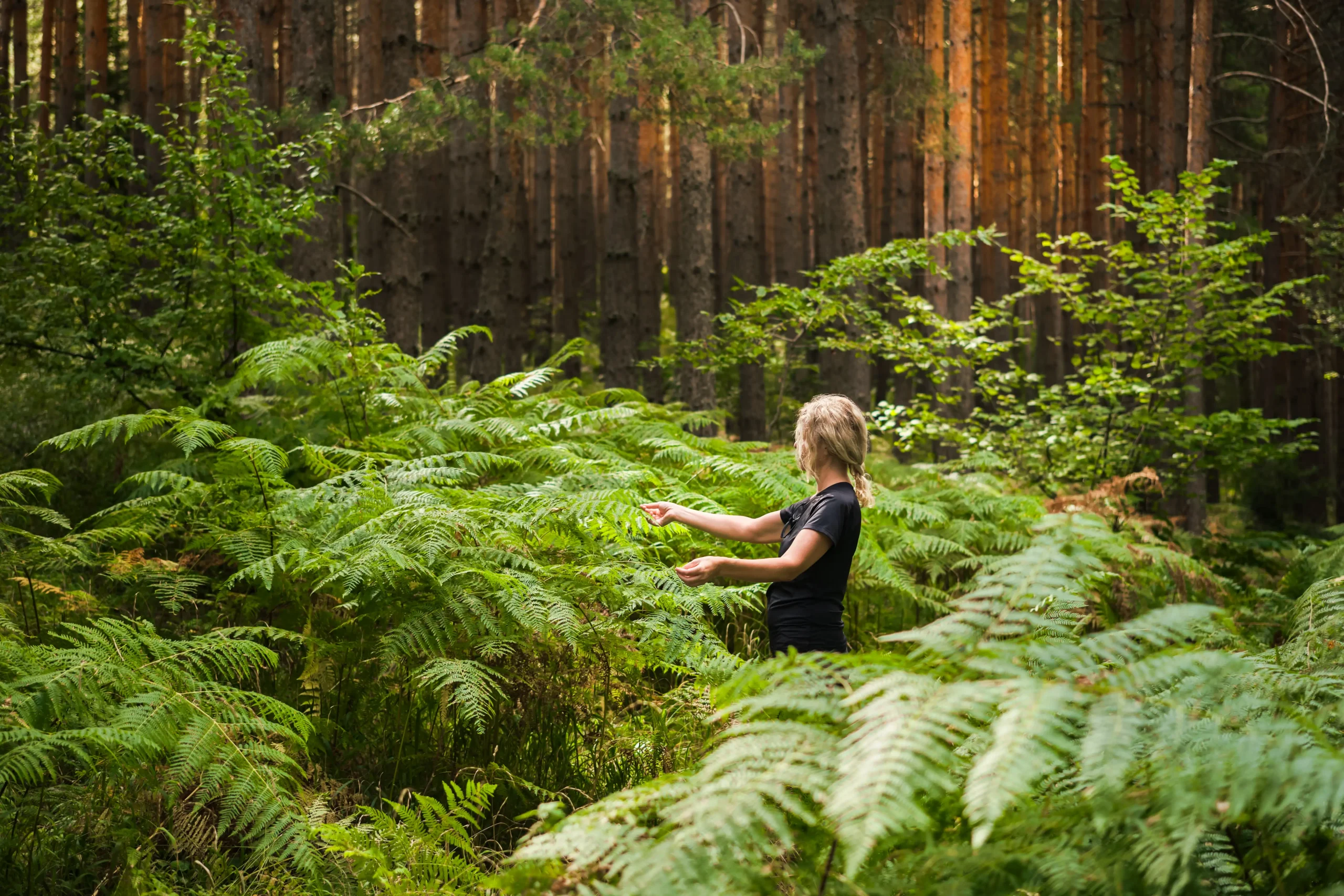 forest-baths-adult-woman-thickets-ferns-restoring-health-psyche-nature